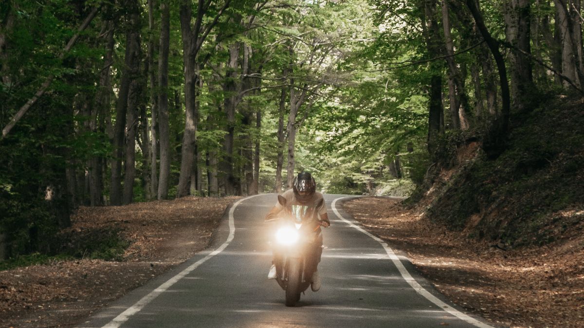 Motorcyclist on a forest road, illustrating Texas motorcycle safety course training