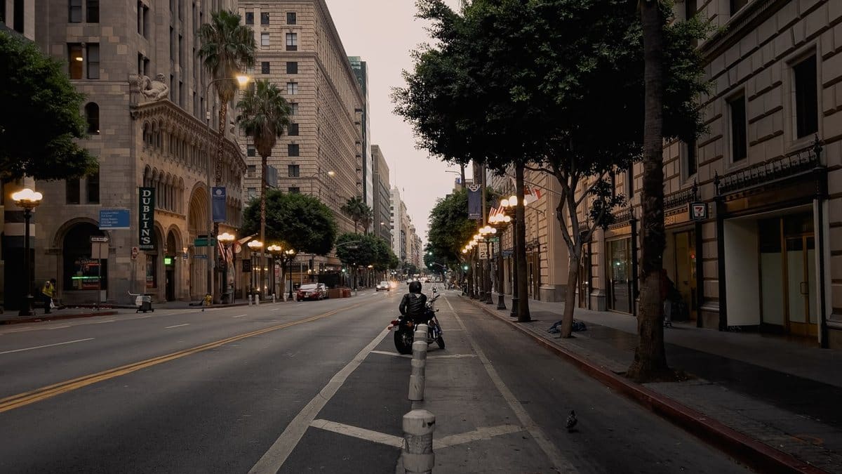 Motorcyclist riding along a wide city street lined with palm trees