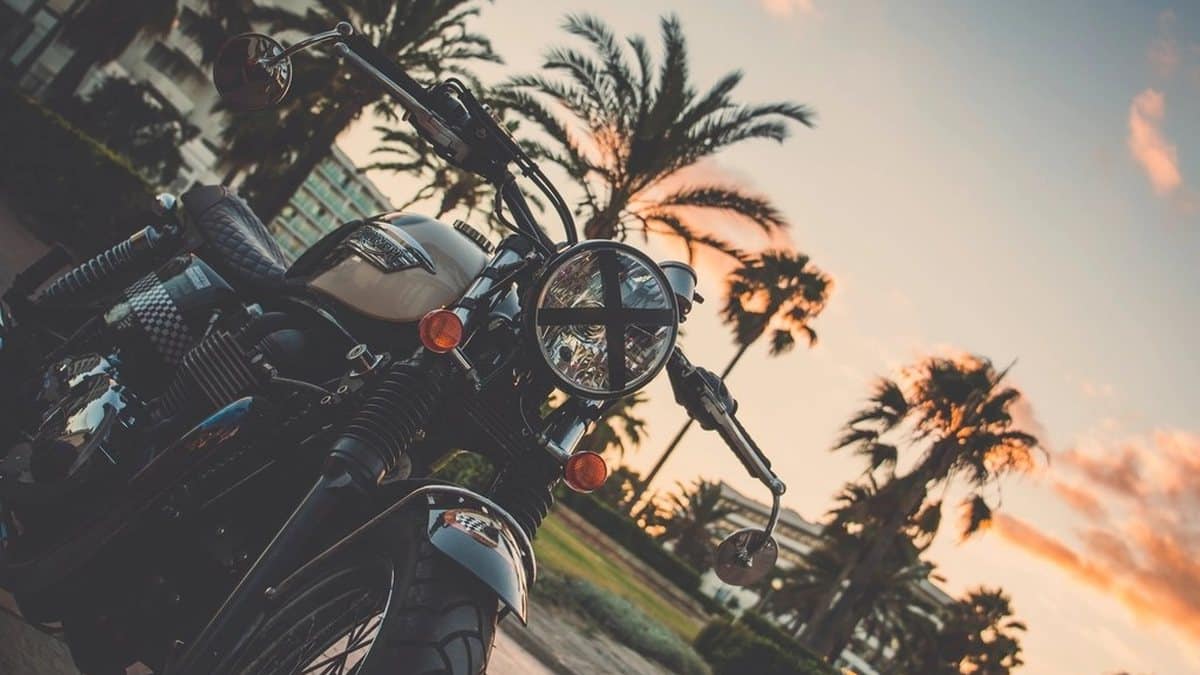 Motorcycle parked under palm trees at sunset