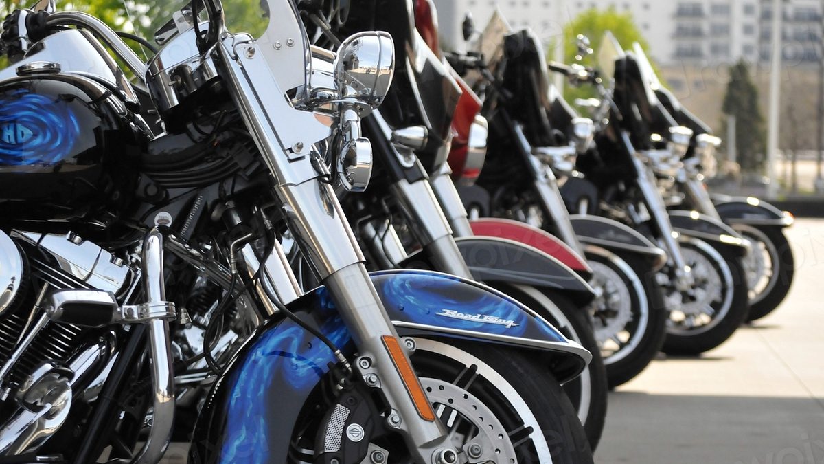 Motorcycles lined up, illustrating a motorcycle shipping cost estimate